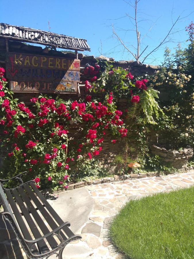 Kacperek W Centrum Willowa 4A Szczyrk Dış mekan fotoğraf